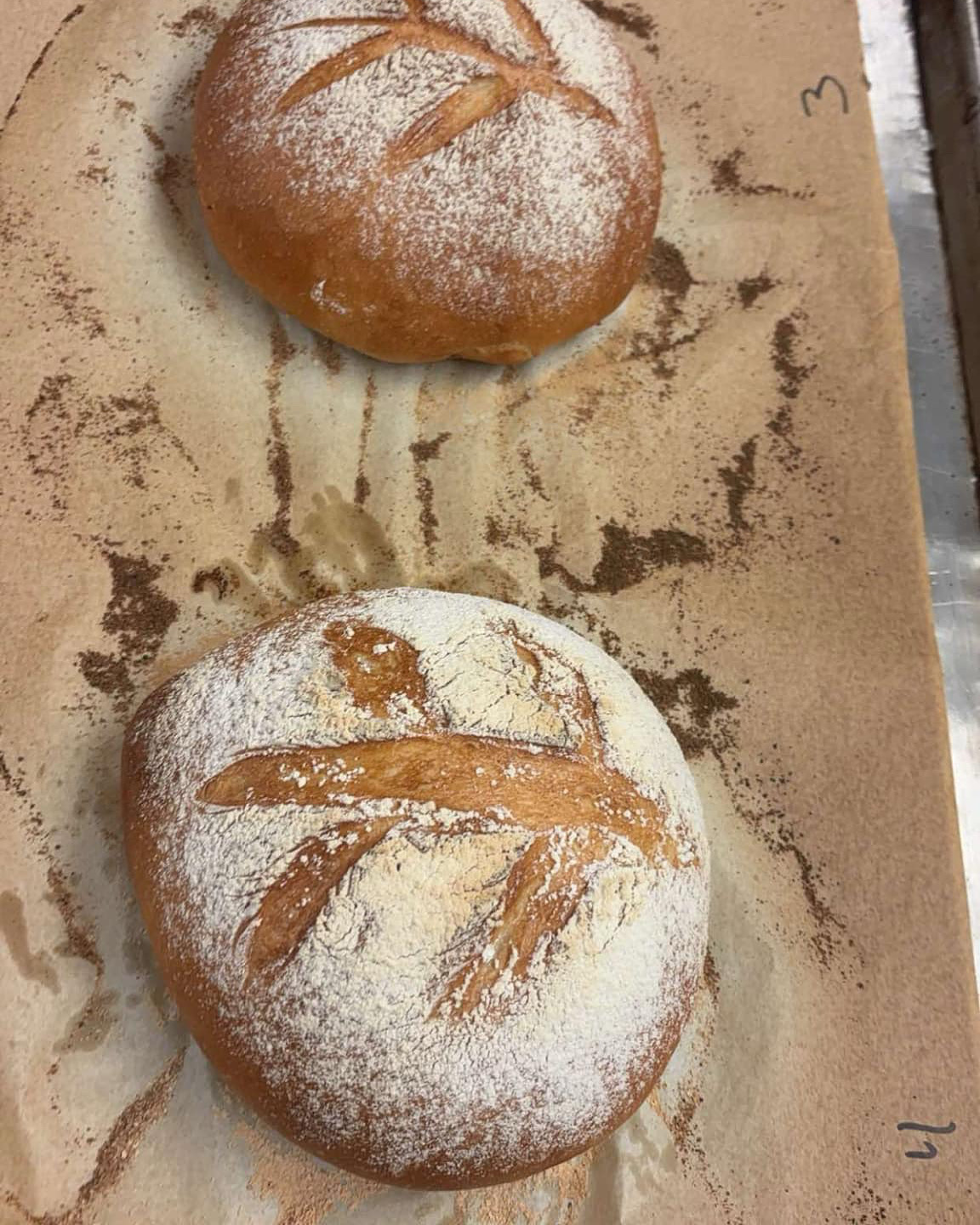 Two round artisan boules with decorative wheat-stalk scoring