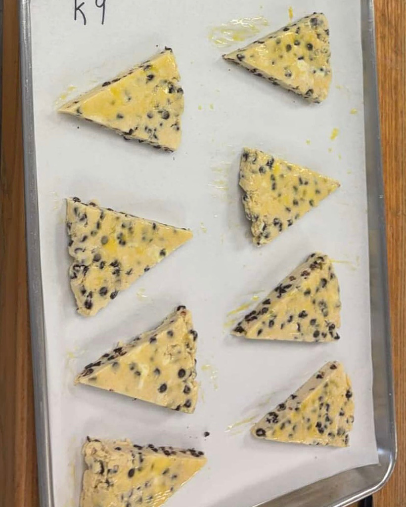 Chocolate chip scone triangles, raw and egg-washed, ready for the oven